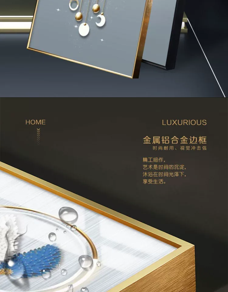 羽毛 单幅 装饰画 北欧风 玄关背景墙挂画 晶瓷画