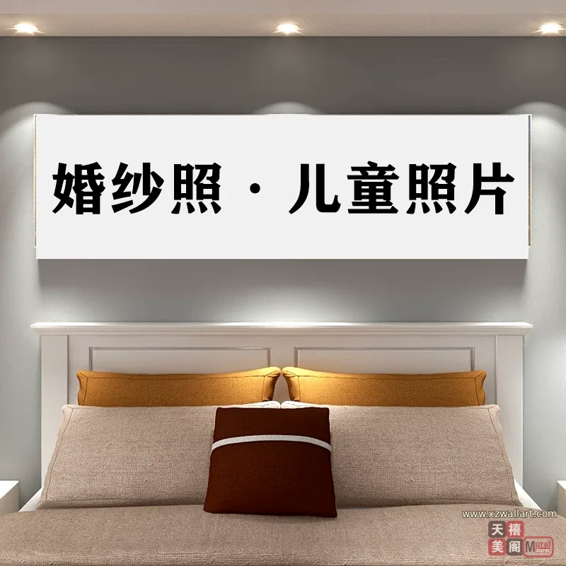 抽象 单幅 装饰画 现代简约 客厅背景墙挂画 晶瓷画